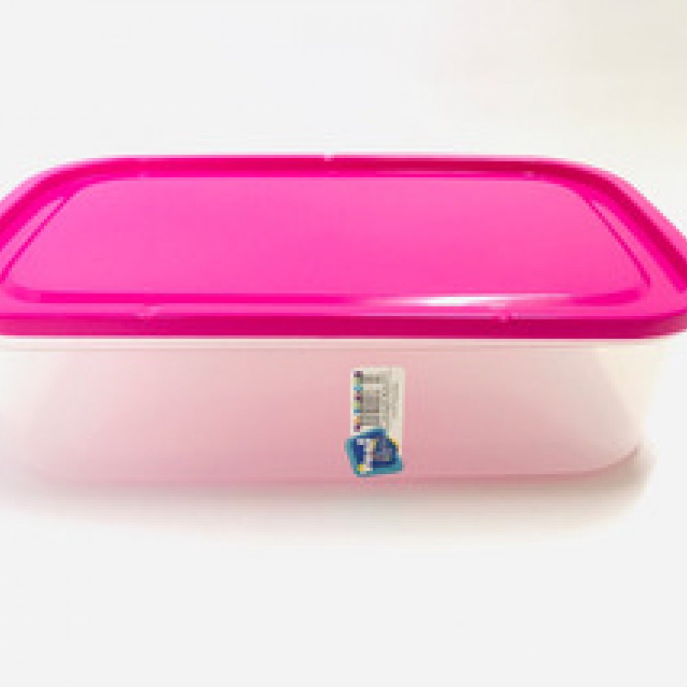 hermetico-yesi-rectangular-2-lts-